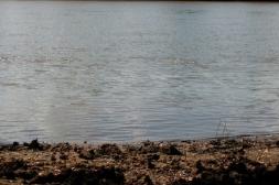 Un nuevo descenso del  río Uruguay, cota en  Salto cae a 6,50 metros 