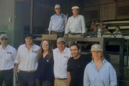 Polled Hereford de El Trébol alcanzó un promedio de U$S 3.436