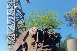 Latidos: Un trozo de vida y más...