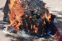 Latidos: Vandalismo y más...
