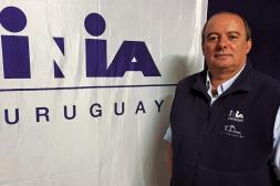 Fabio Montossi: "El porcentaje de preñez que tiene el país no es porque los productores sean tontos"