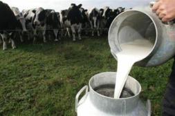 El precio de la leche alcanzó su mayor nivel en dos años