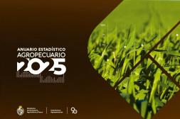 El agro creció 18% en 2024 y alcanzó récords históricos en maíz y soja