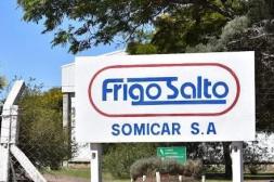 Diputado de Brum plantea seguro de paro  urgente para 246 operarios de Frigo-Salto