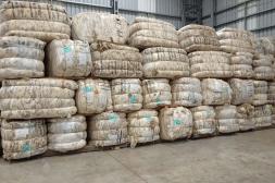 Mercado lanero uruguayo sigue muy activo en lanas finas