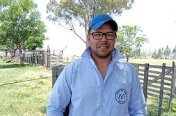 Los ovinos en las praderas permite convertir la bonanza de precios en ingresos en el norte