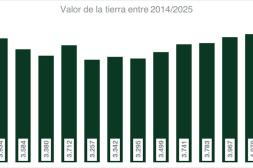 Mercado de tierras superó los US$ 4.000 por hectárea en el primer semestre de 2025