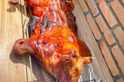 Látidos: Venta en redes, en recuperación y más...