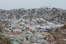 Ambientalistas advierten por "pasividad gobernante" ante  crisis en el vertedero de Salto