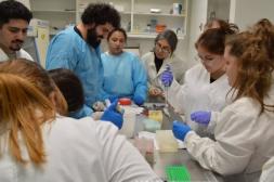 Encuentro de Virología en la UdelaR  contará con presencia de Rafael Radi