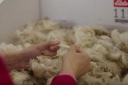 Entre subas y bajas el IME cayó nueve centavos en Australia