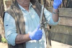 Uruguay inició su mayor prueba a campo para combatir la garrapata bovina