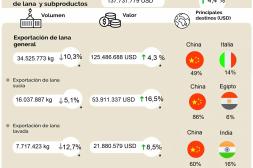 Las exportaciones de lana crecieron 4,4% y consolidan la recuperación del sector