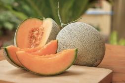 Ingresaron las primeras partidas de melones del Litoral Norte a la UAM