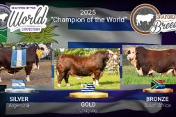 Uruguay obtuvo el "Champions of the world" de la raza Braford