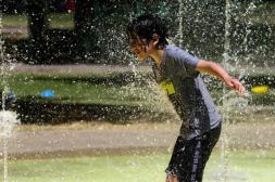 Fin de año con temperaturas  que podrían alcanzar los 40º