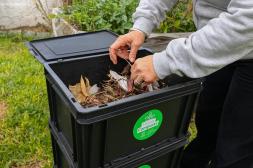 Celebración de logros ambientales  y proyección de un futuro más verde