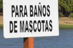 Latidos: Con perros no, no es de ahora y más...