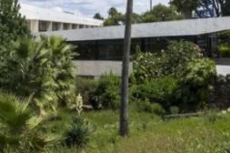 Látidos: Entre la maleza, zonas oscuras y más...