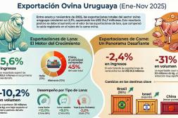 Las exportaciones del rubro ovino crecieron 3,3% hasta noviembre
