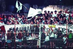 Postales del Dickinson 