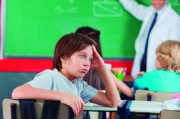 Inteligencias múltiples:  cuando aprender no es una sola cosa