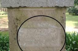 Látidos: No de nuevo, mosquitos y más...