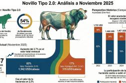 Instituto Nacional de Carnes : El valor del Novillo Tipo en noviembre alcanzó US$ 1.857, subiendo 3,7%