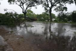 Un fuerte temporal azotó a Salto  con vientos de casi 90 kilómetros