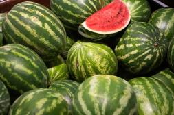 Ingresan las primeras partidas  de boniato de reciente cosecha