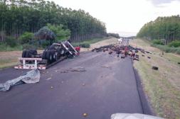 Camión salteño cargado de  verduras volcó en la ruta 3