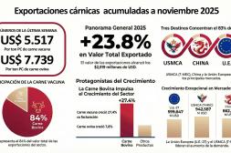 Las exportaciones cárnicas crecieron 23,8% en 2025