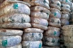 El IME cerró el 2025 a US$ 10,21, con 39% de aumento en el año