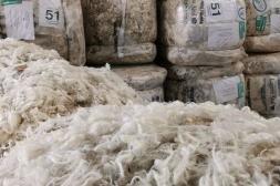 Sigue movido el mercado de las lanas finas en el país