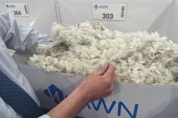 Lanas australianas cierran una semana positiva con el IME superando los US$ 10