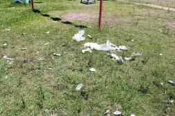 Látidos: Venta callejera, delivery lento y más...