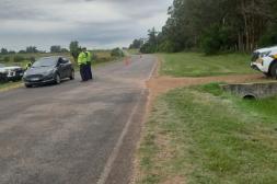 Endurecen controles y sanciones por animales sueltos en rutas