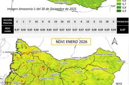 Alerta en el agro: : Monitoreo satelital revela fluctuaciones en la salud de las pasturas en Salto