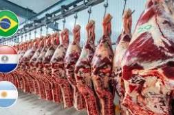 El Mercosur vendió más  y mejor carne