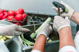 Emiten consejos y medidas para preservar inocuidad alimentaria ante alteraciones por altas temperaturas