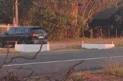 Látidos: Basurales, maleza citadina y más...