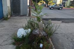 Latidos: Desprolijo, Obstrucción de peatones y más...