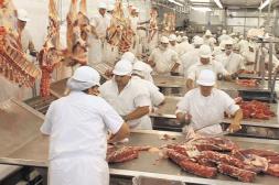 Faena en el Mercosur: En cuatro años creció en más de 12 millones de cabezas    