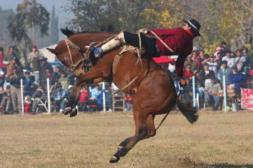 Salto se prepara para lo que será  el "Gran Festival Criollo 2026"