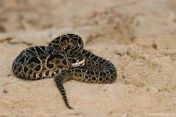 Recomendaciones a tener en cuenta antes de ingresar a una vivienda de veraneo y reducir riesgos de accidentes