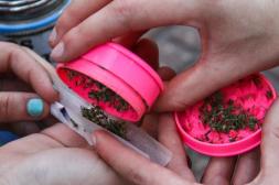 Venta de marihuana en farmacias  tuvo significativo aumento en 2025 