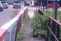 Látidos: Puente inválido, ciclovías transitadas y más...