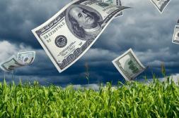 Dólar bajo y costos en alza: El agro exige medidas y el BCU entra en fase expansiva