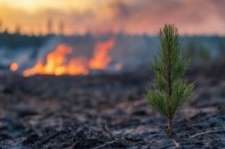 Alerta roja en Salto: Asociación Agropecuaria de Salto insta a extremar cuidados ante sequía crítica e incendios