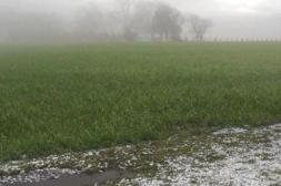 Pueblo Quintana registró 100 mm  en jornada con intensas tormentas